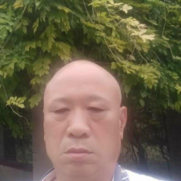 福寿草的照片
