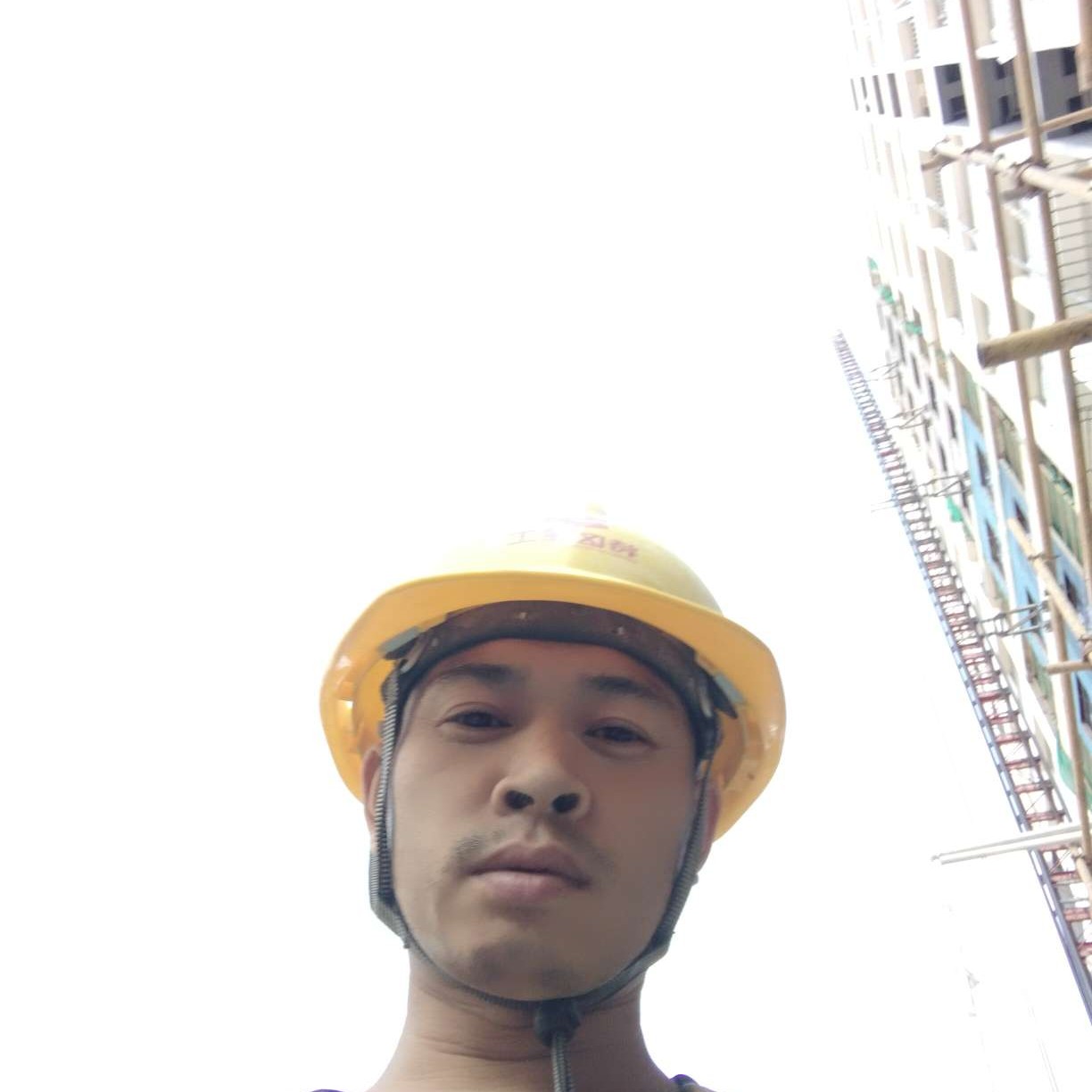 蜗牛浅吻勤恳的照片