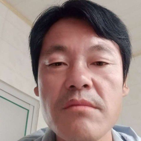 沉静苦恋海燕的照片