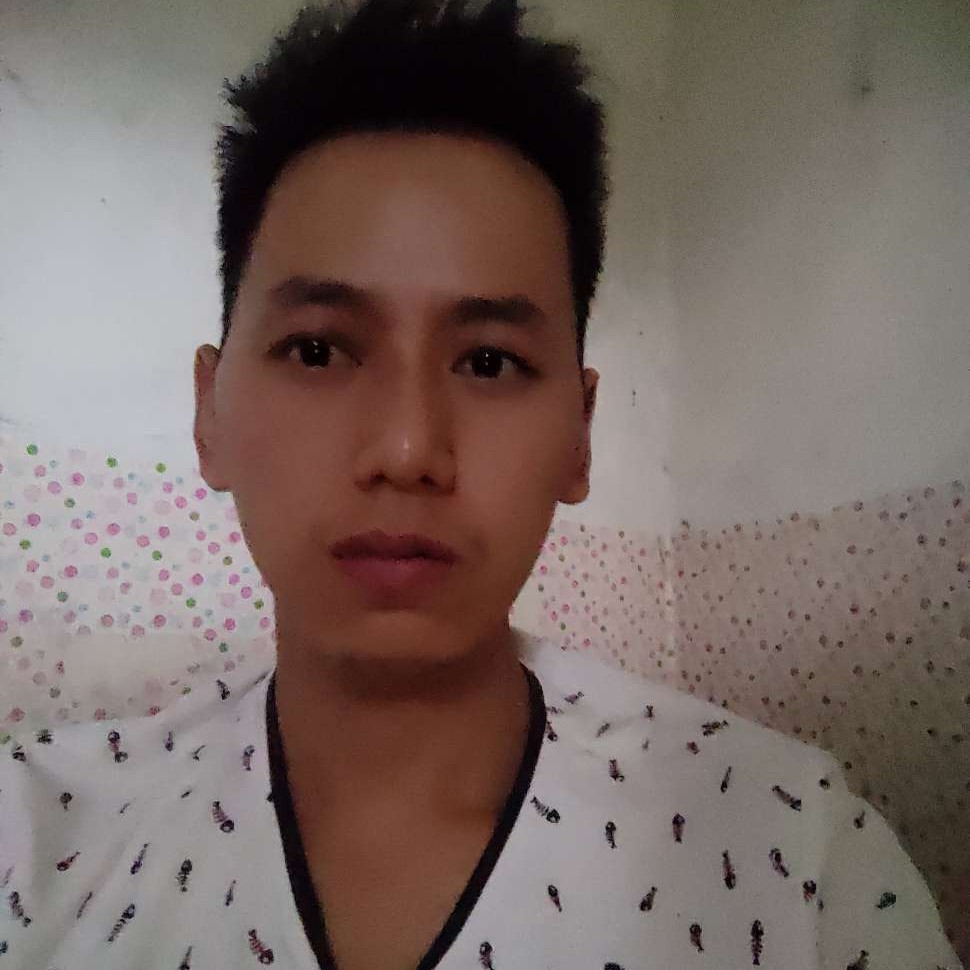 电灯胆浅吻整齐的照片