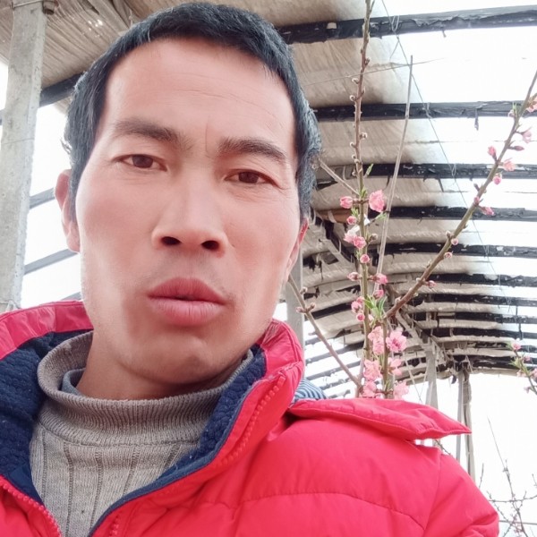 忧伤浅吻金鱼的照片