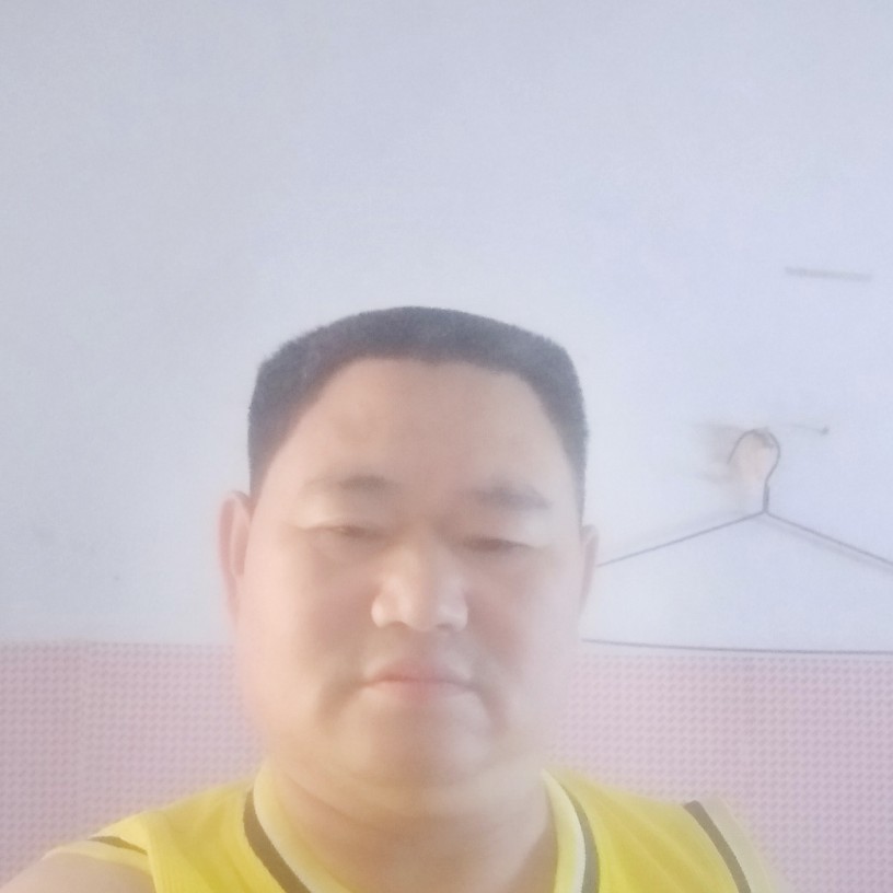 尊敬鞋垫的照片