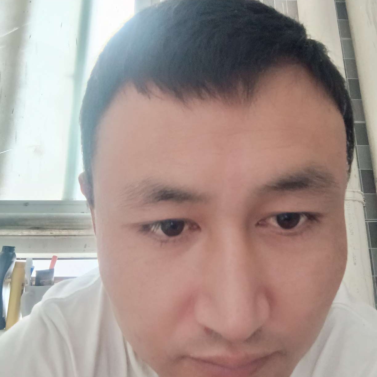 细心凝眸小鸽子的照片