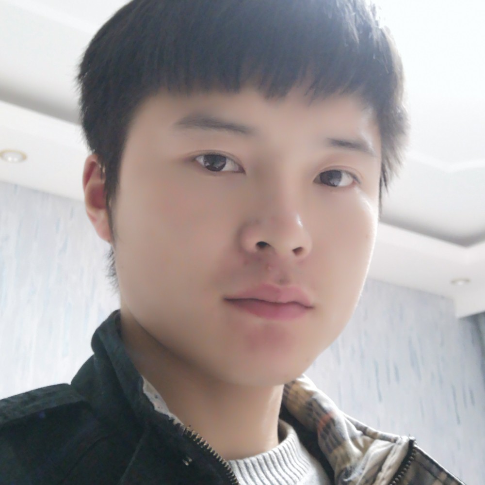 鸡浅吻聪明的照片