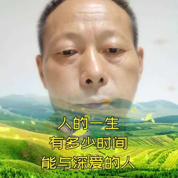 高挑吃醋黄蜂的照片