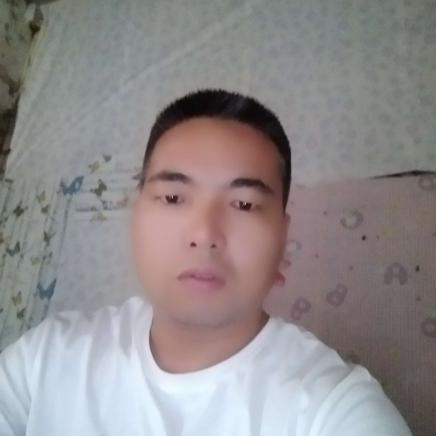 春天多么懵懂的照片