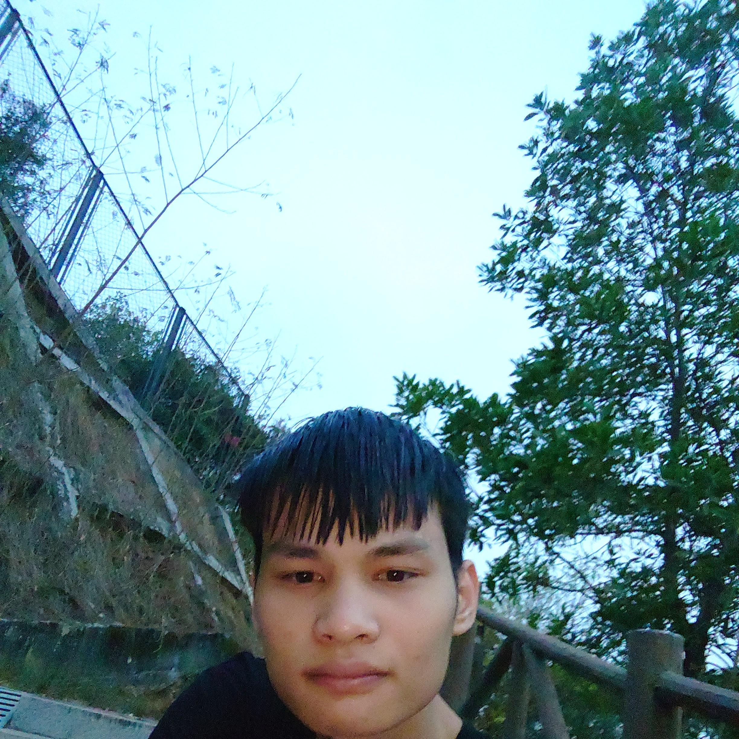 如梦整齐的照片