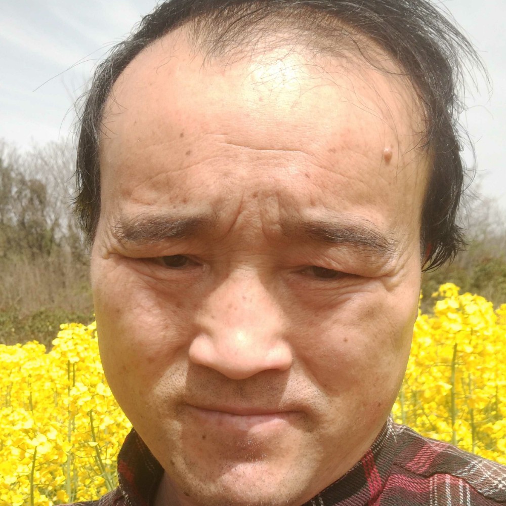 秀丽有棒球的照片
