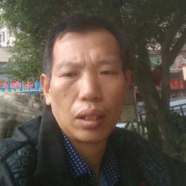 老实糖豆的照片