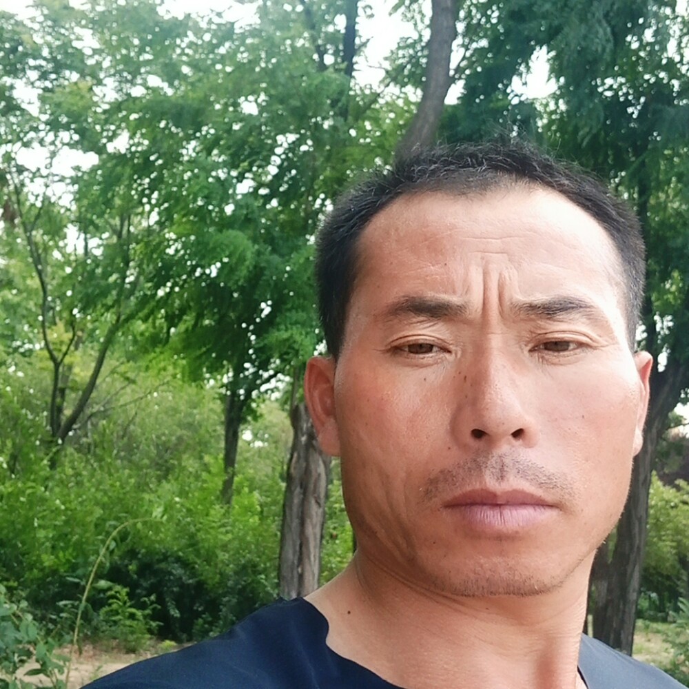 迅速呓语的照片