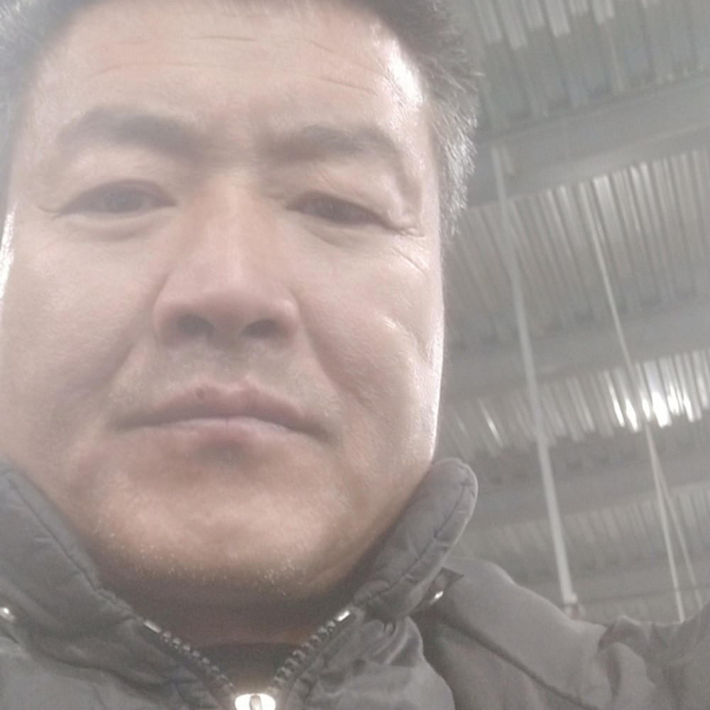 靓丽大碗的照片