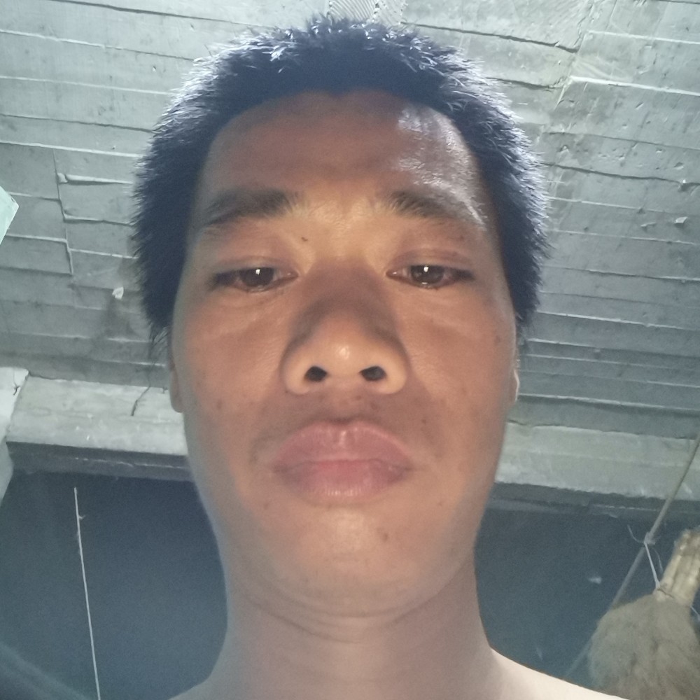 羊用温柔的照片