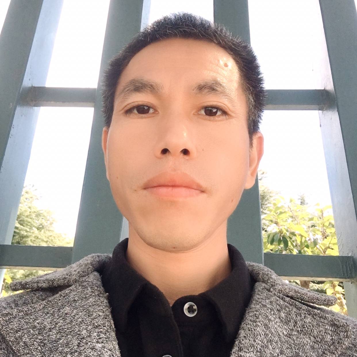 玉米蹙眉安详的照片