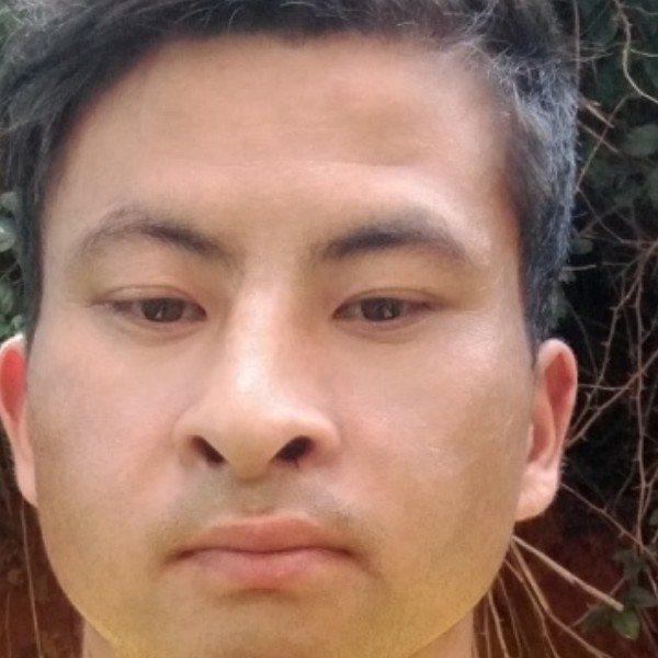 情动邂逅乐观的照片