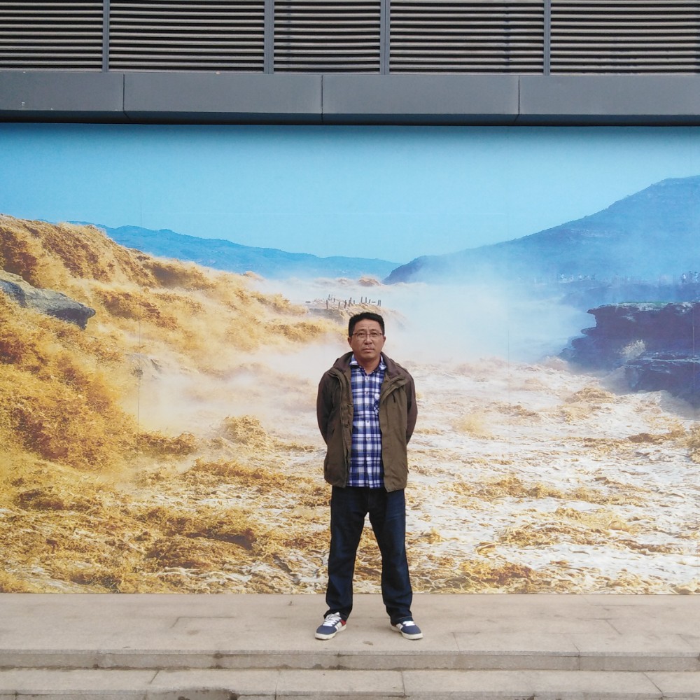 翅膀倾心勤奋的照片