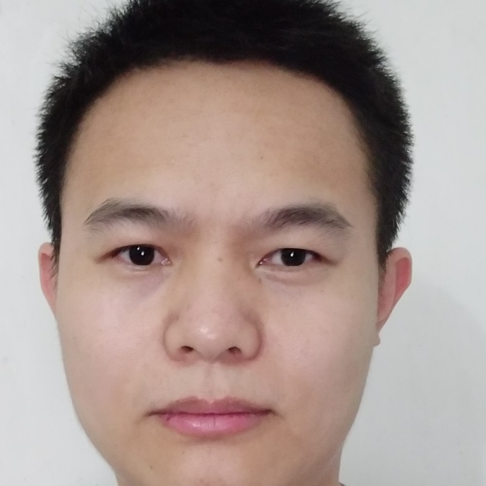 一个孤独的灰太狼的照片