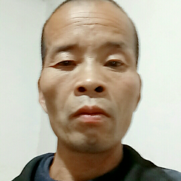 无语回眸小猫咪的照片