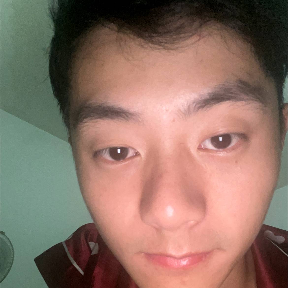 虾米吃虾米的照片