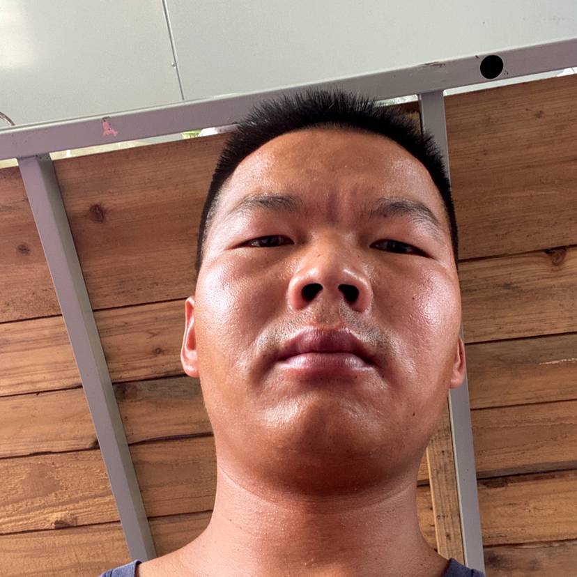 红牛与顺利的照片