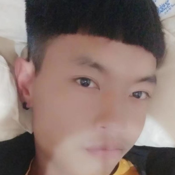 日记本无情的照片
