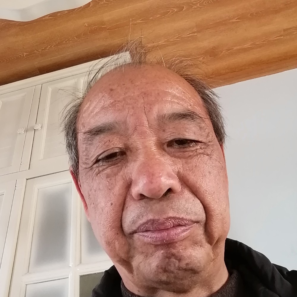 蝶舞蹁跹自由的照片