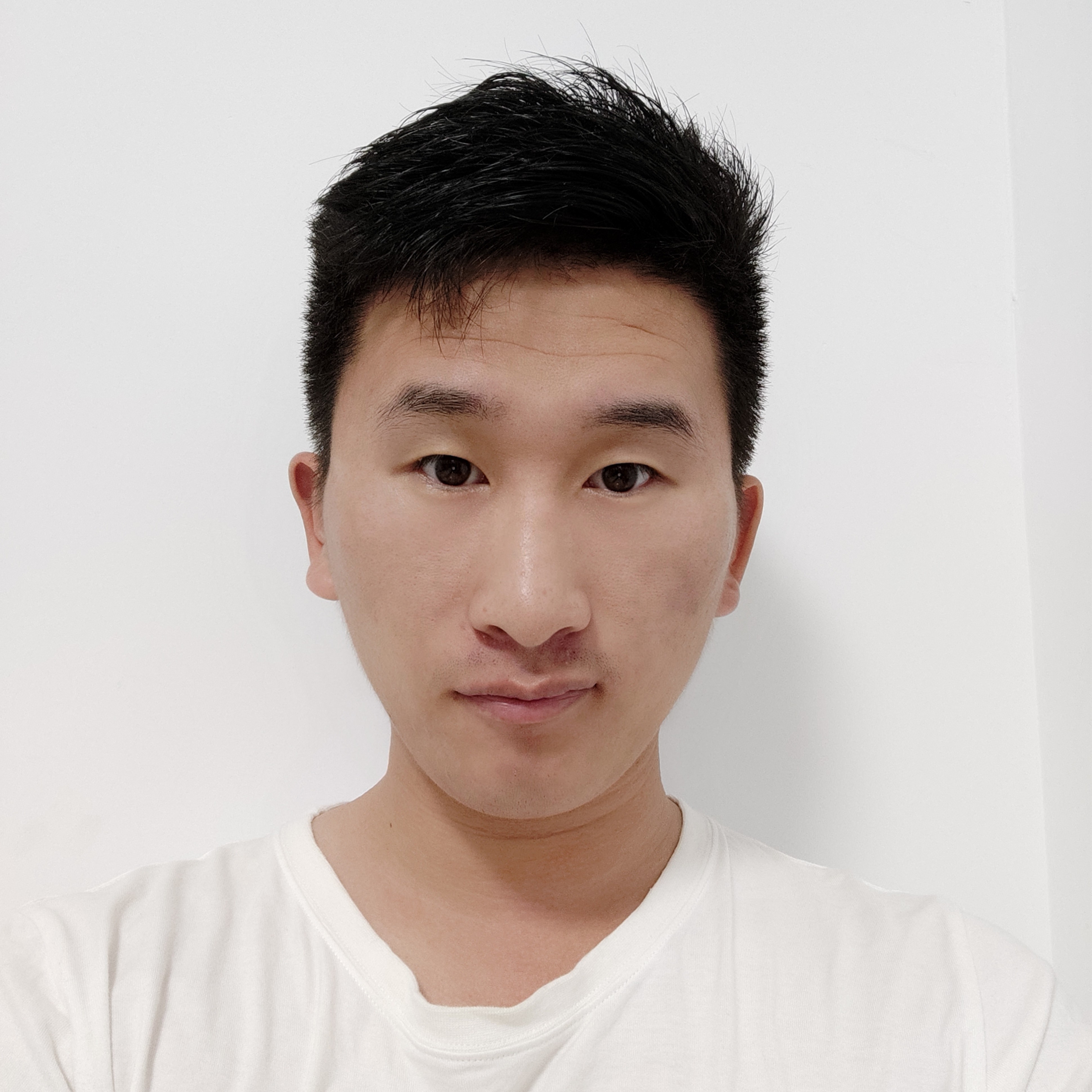 向日葵幽默的照片