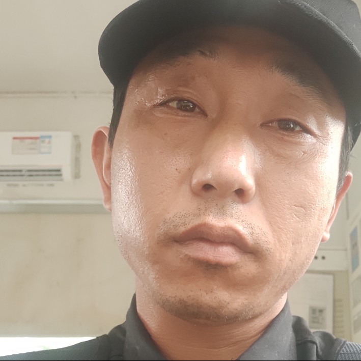 痴情回首蜜蜂的照片