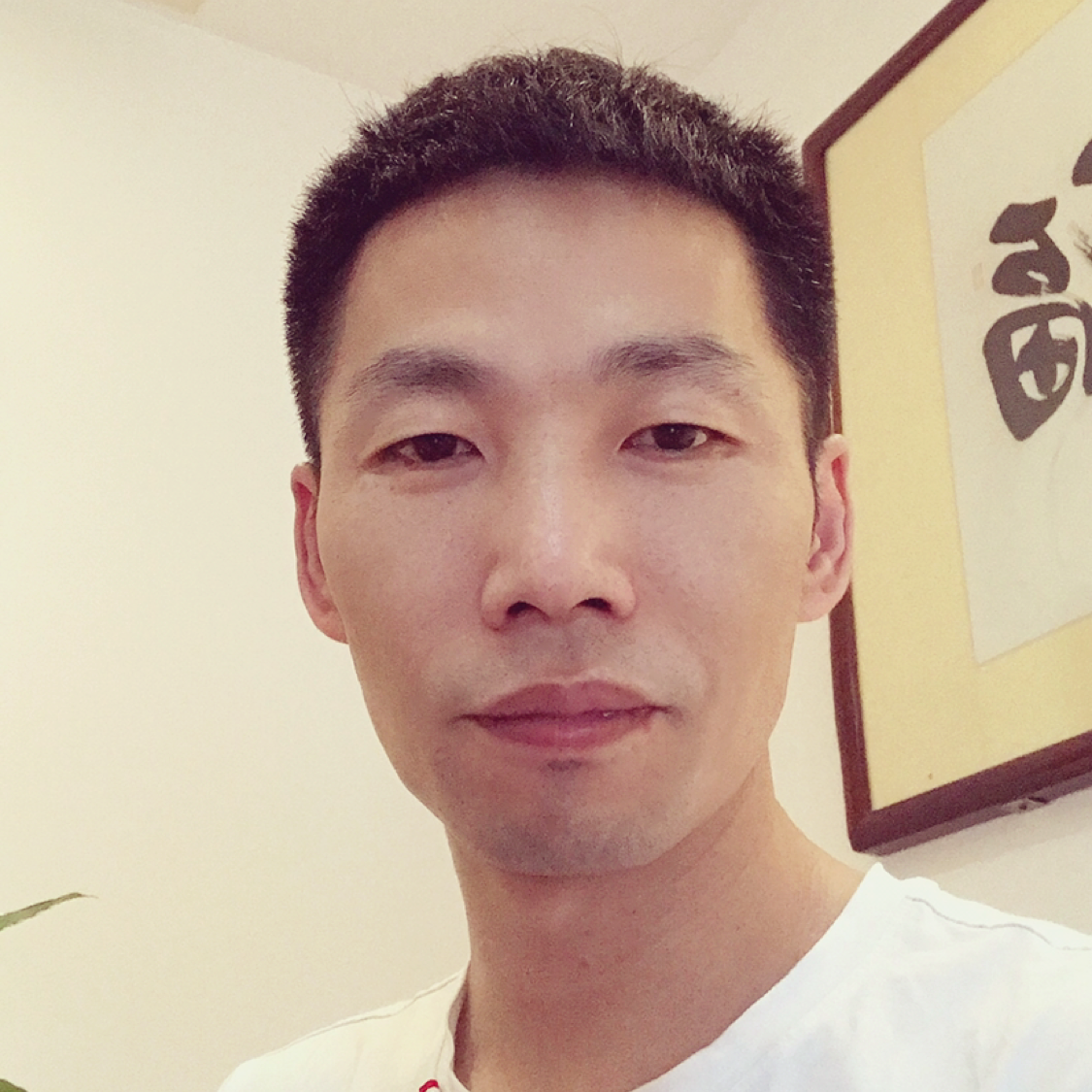 阳光自由的照片