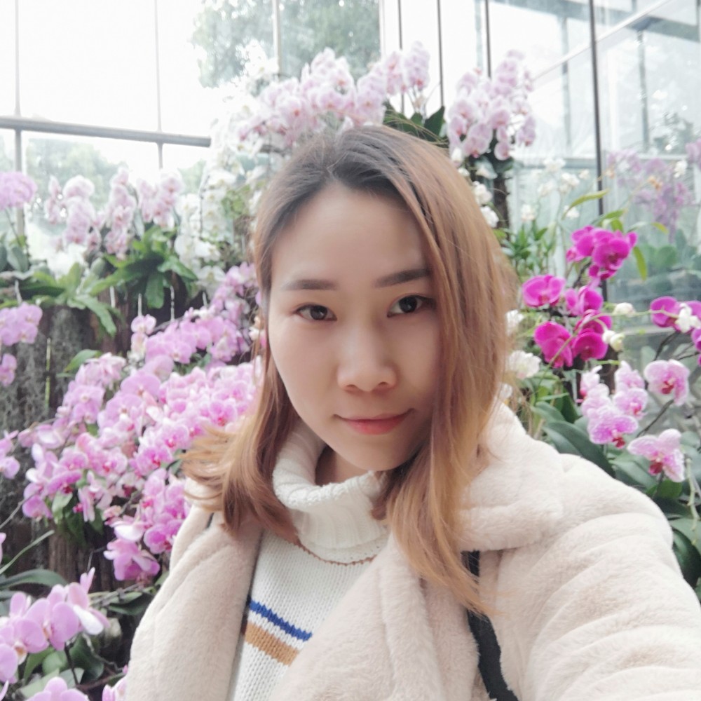 叶子的灵魂的照片