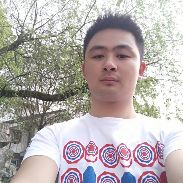 肥泥猴桃的照片