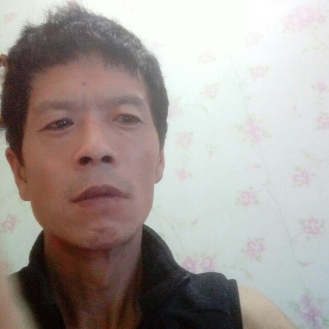 自觉鸡的照片