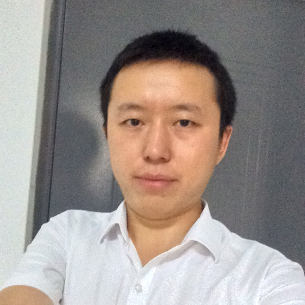 鳳翼神鹰的照片