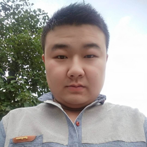 鹏行天下的照片