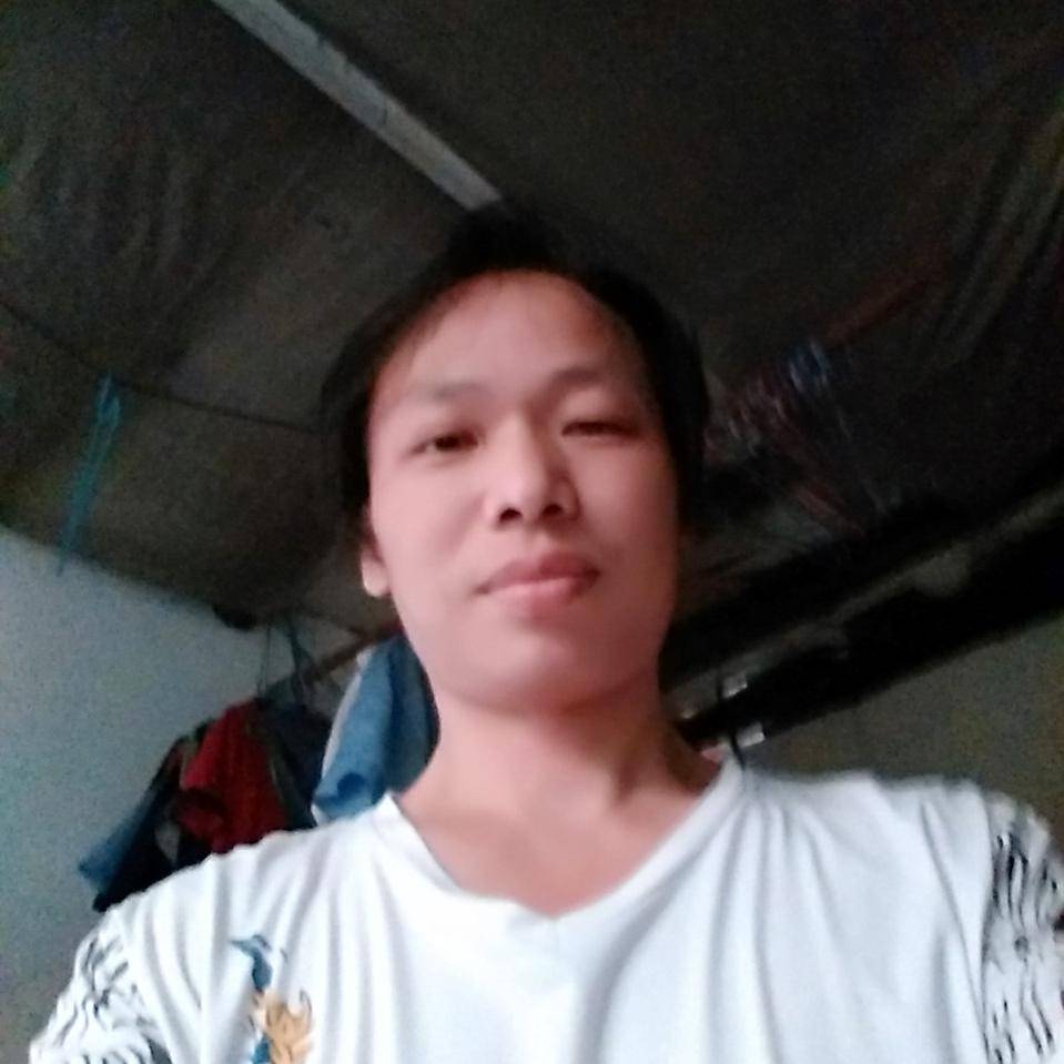 执着的飞机的照片