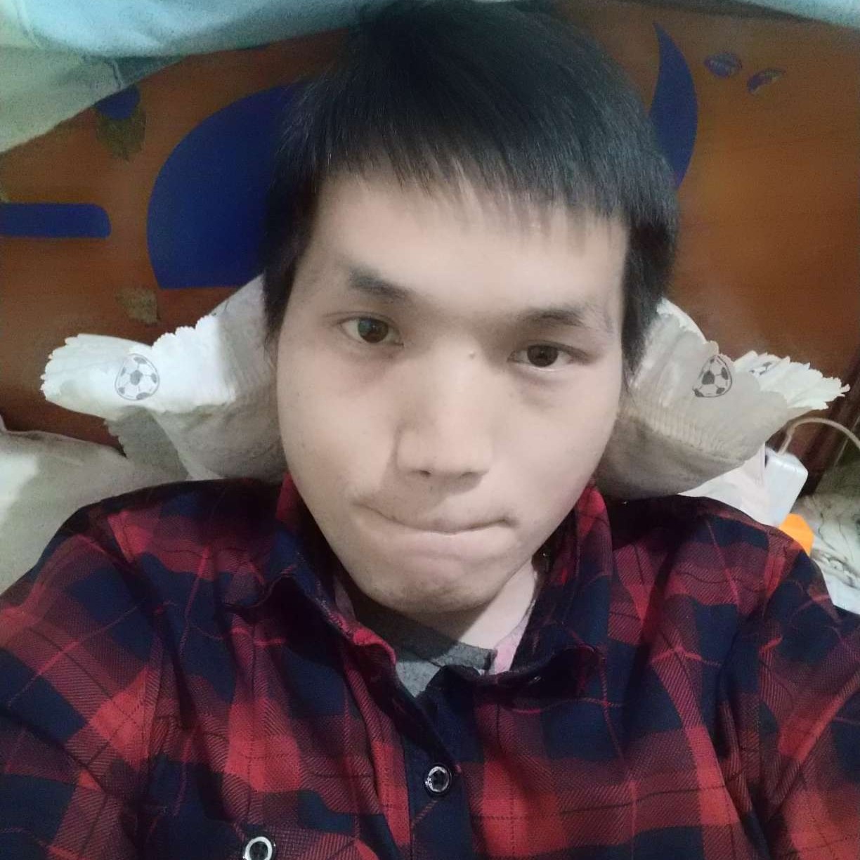 开心小黑熊的照片