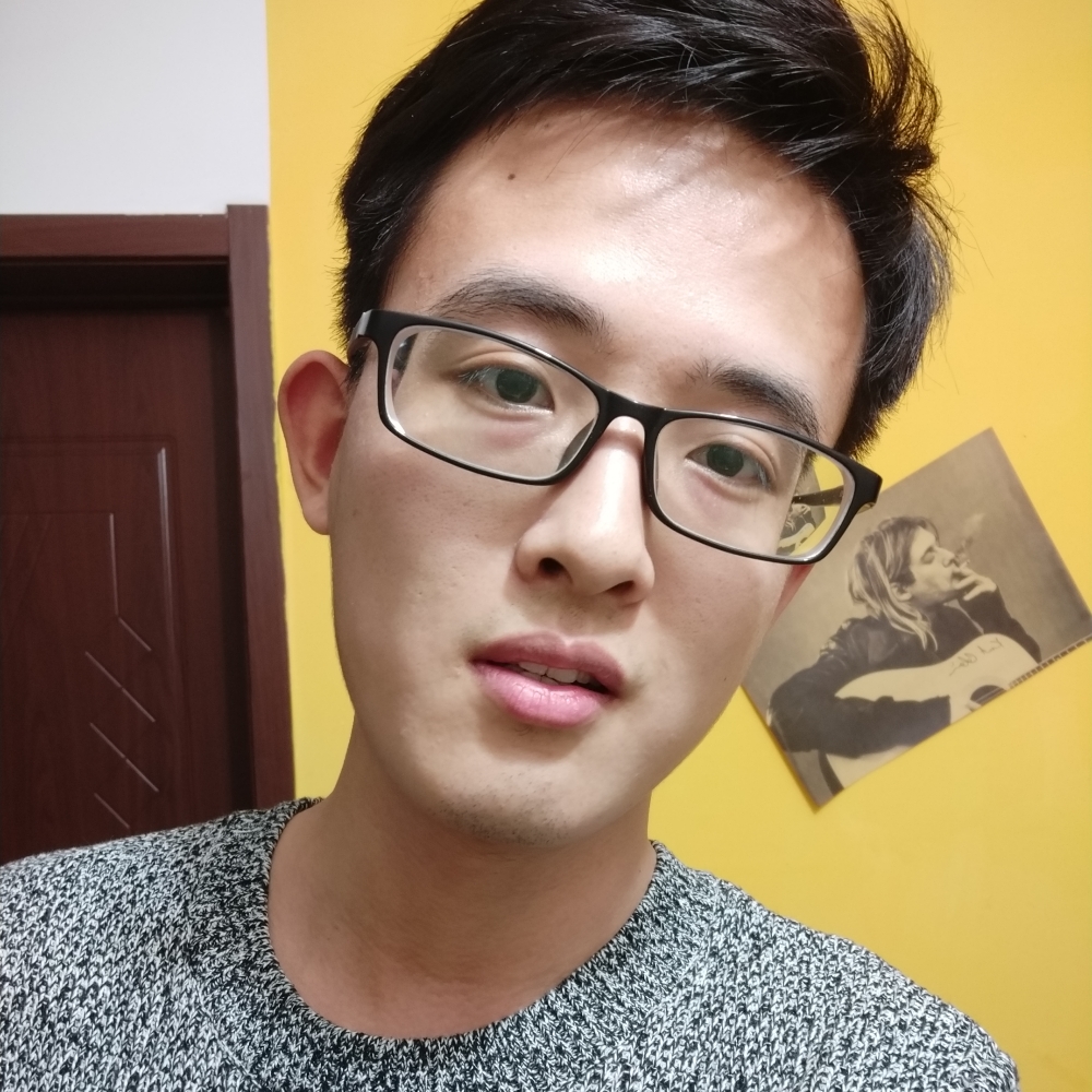 星垂平野阔的照片