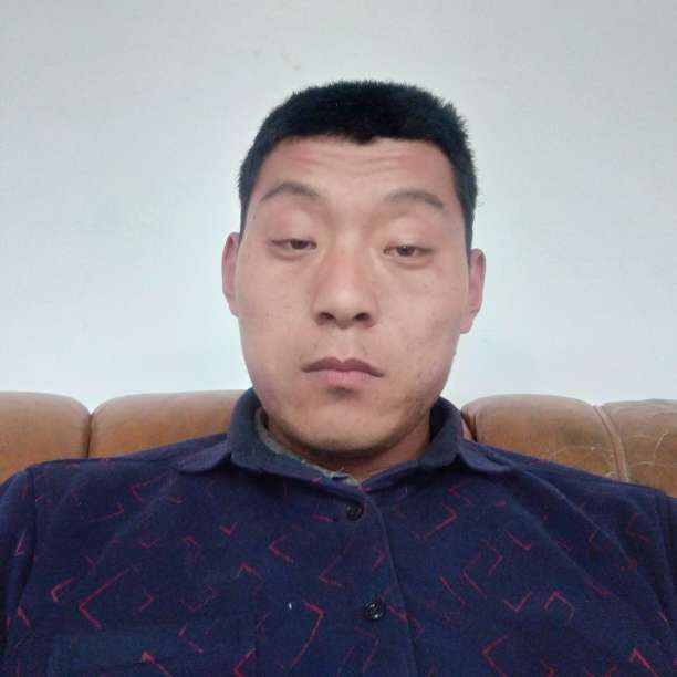 月饼等待欣喜的照片