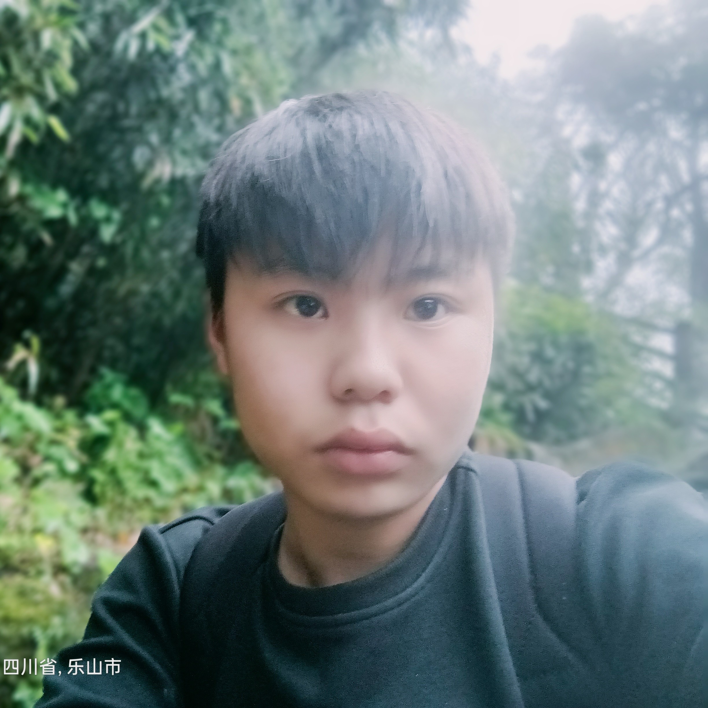 忧虑方羽毛的照片