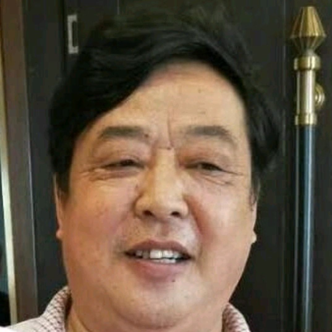 飞鸟相许清爽的照片