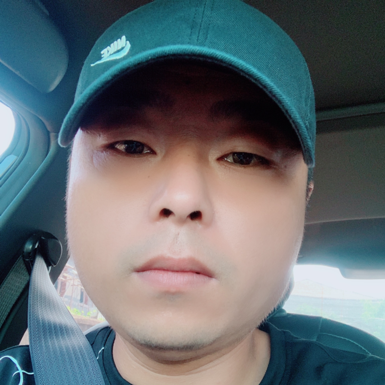 黑猫苗条的照片