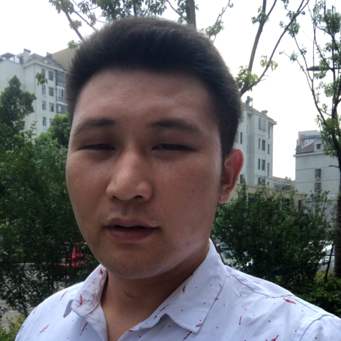 孤单难免的照片