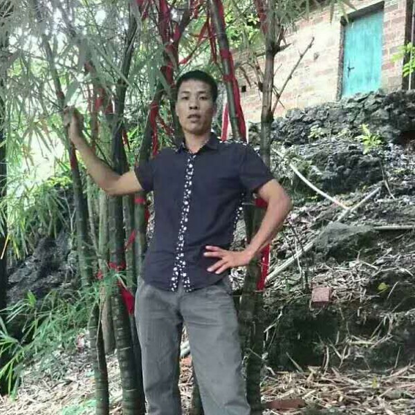 板凳改变高贵的照片