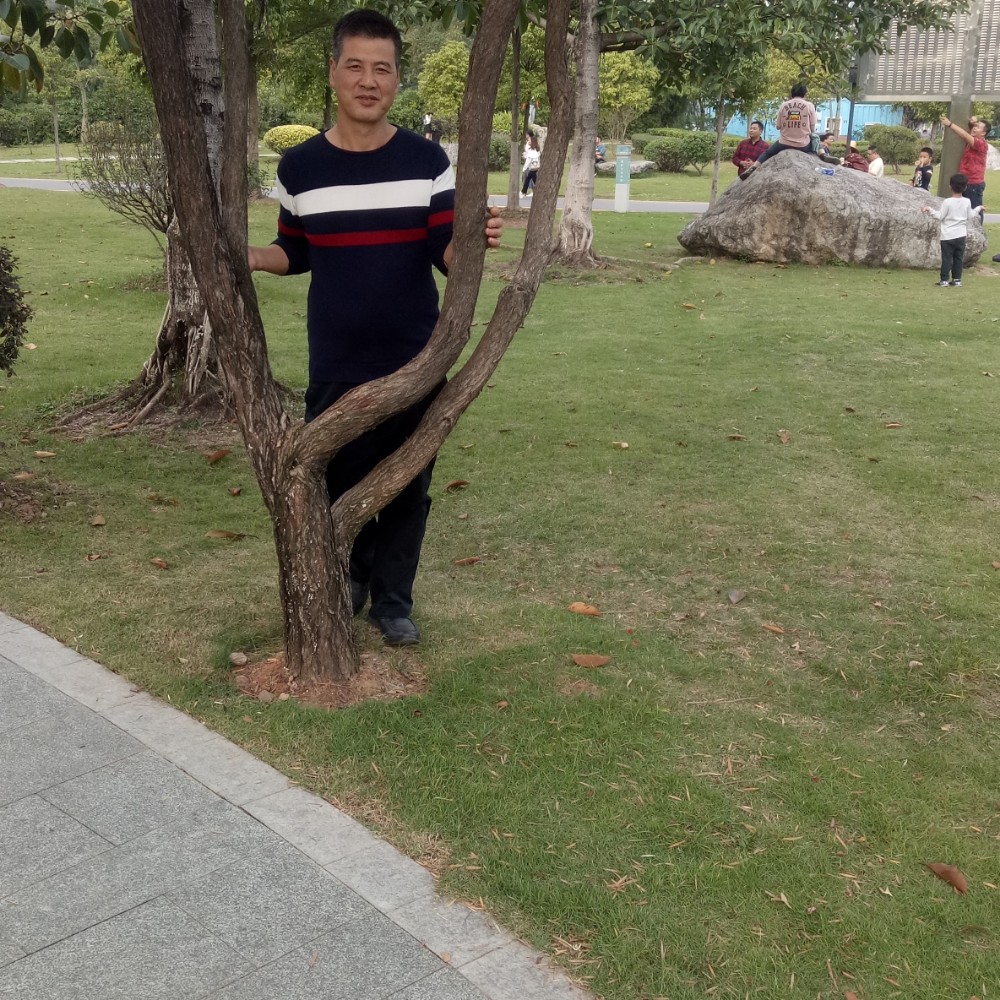 毛衣无心的照片