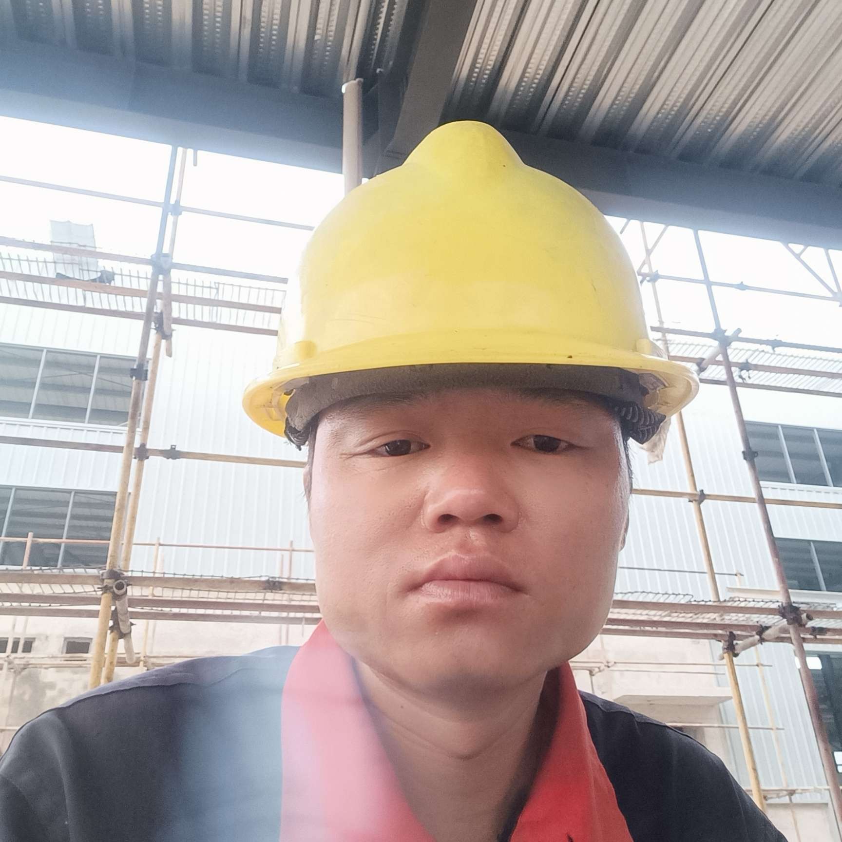 蜜蜂与诚心的照片