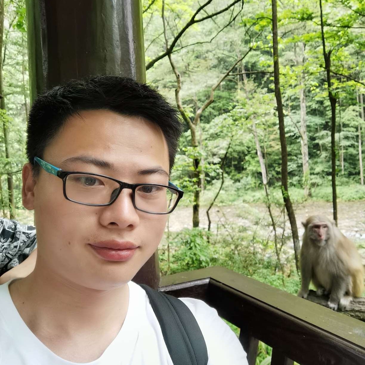 石头停止感性的照片