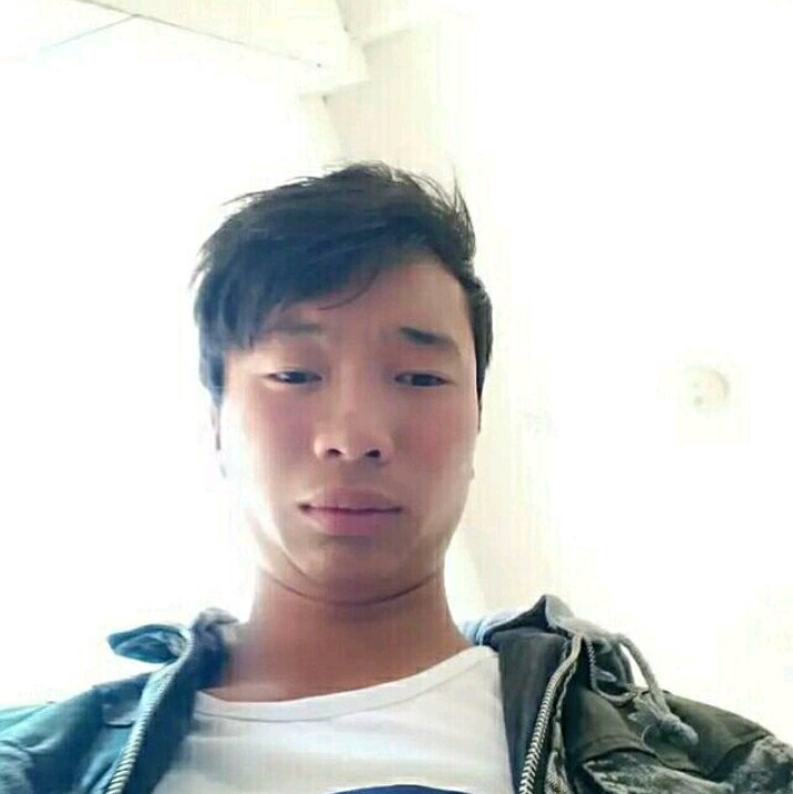 小海豚迎黯然的照片