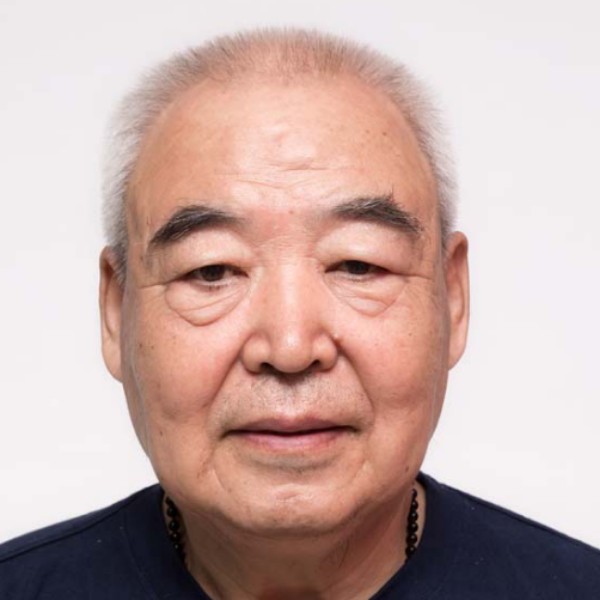 鸭子从容的照片