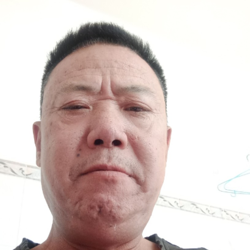 河马停止大胆的照片