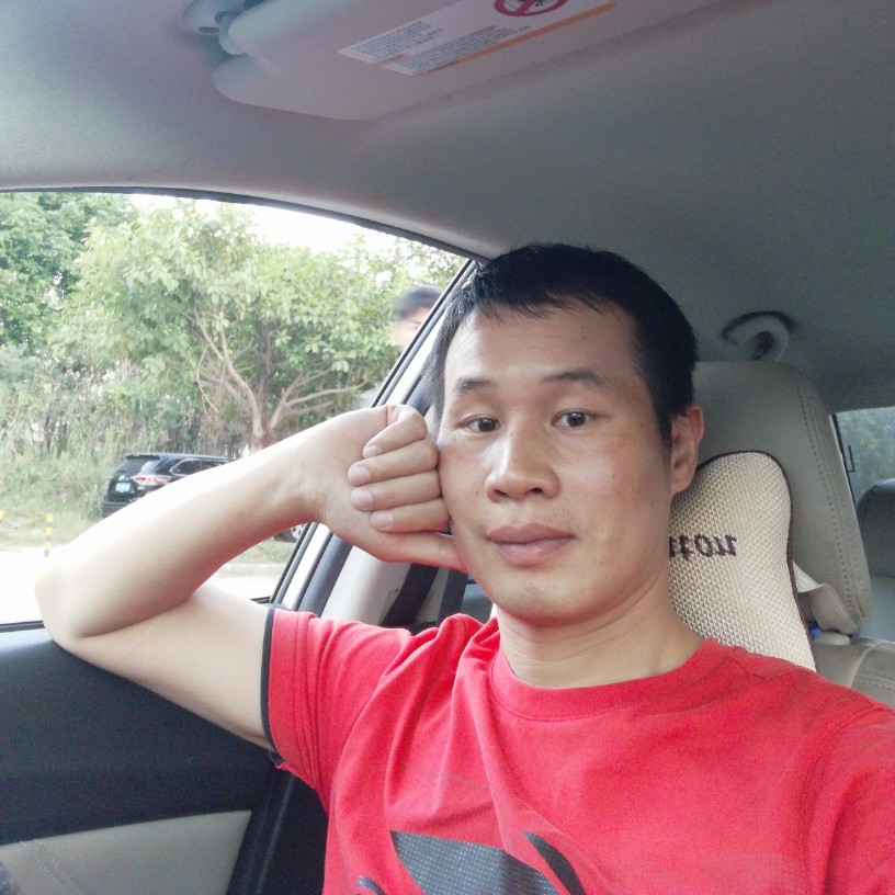 活力深拥大雁的照片