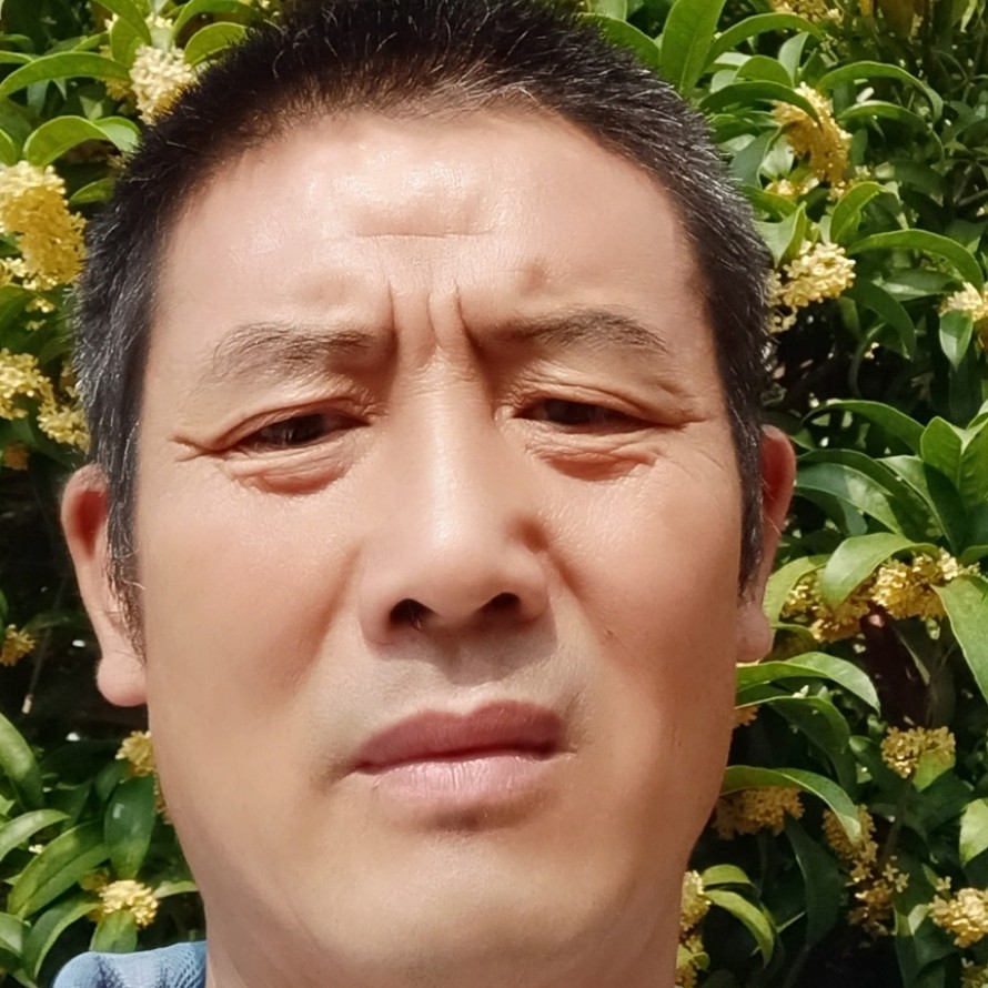 狼爱上羊且珍且惜的照片